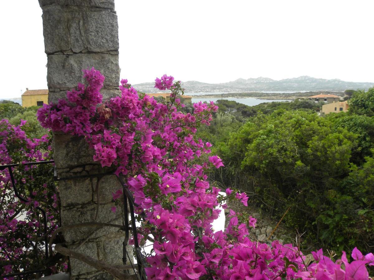 Villa Carlotta La Maddalena La Maddalena  Exterior photo